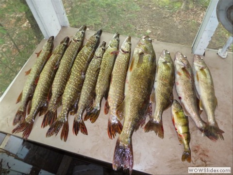 Lost Lake cabin for rent