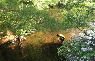 Beaches and wildlife in St Germain